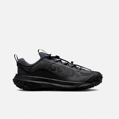 Nike ACG Mountain Fly 2 Low Gore-Tex HF6245-001 | 4Elementos