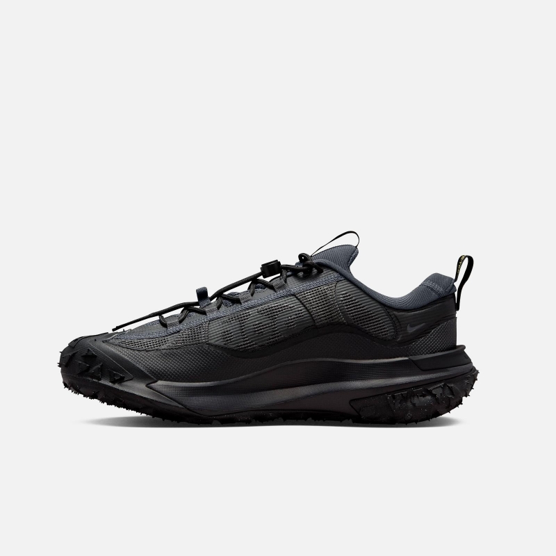 ACG Mountain Fly 2 Low Gore Tex HF6245 001