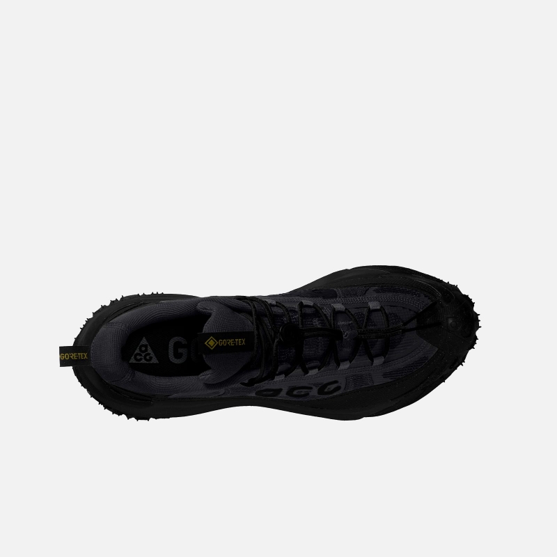 ACG Mountain Fly 2 Low Gore Tex HF6245 001