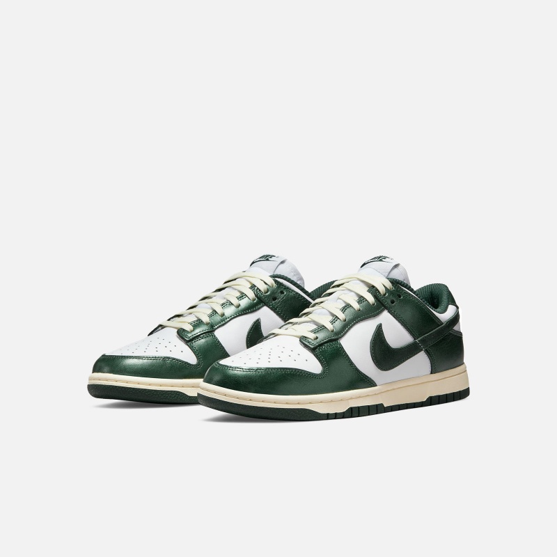 Dunk Low DQ8580 100