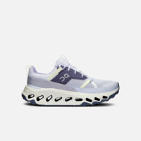 On Running Cloudhorizon 3WE10012308