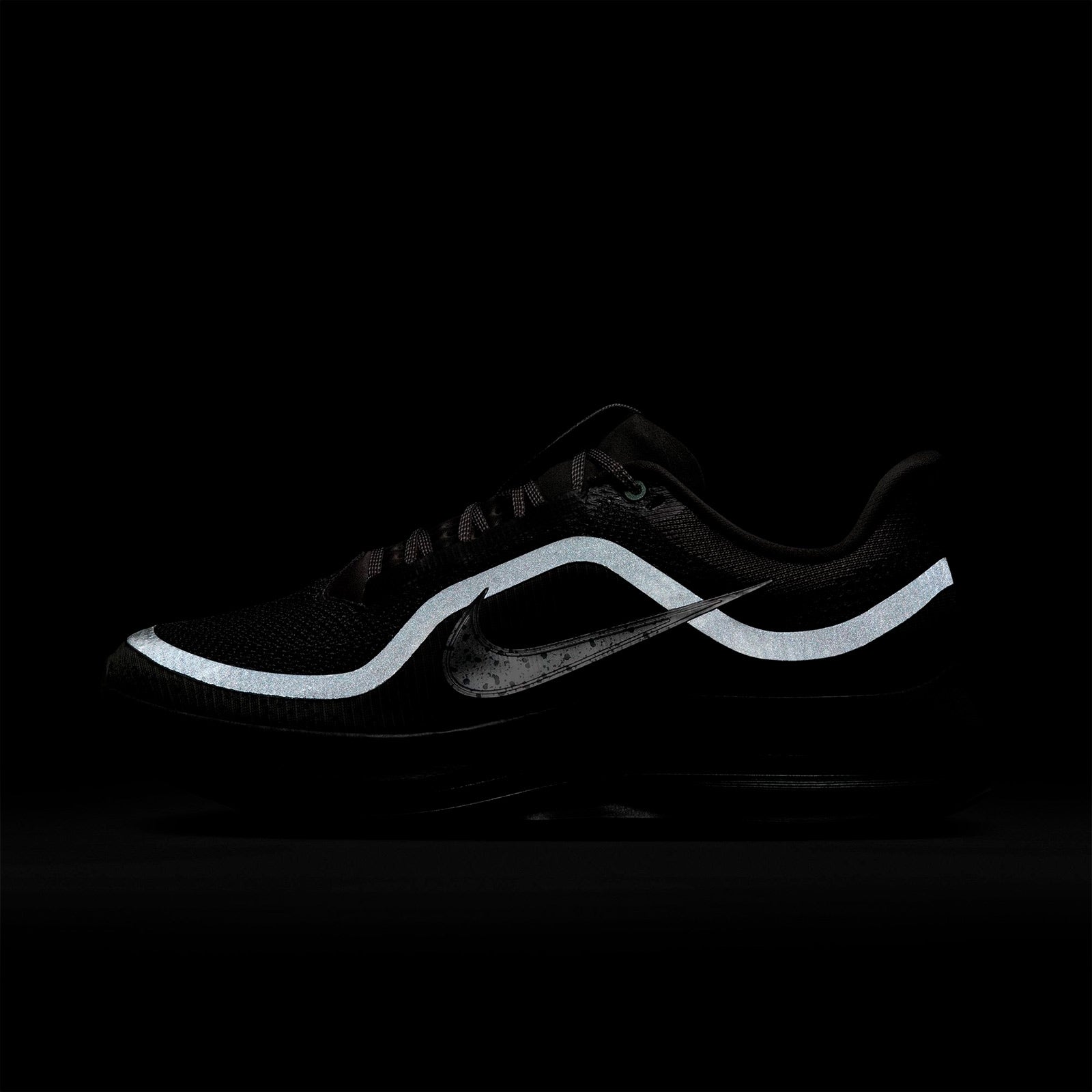 Pegasus Premium SP IM6000 264