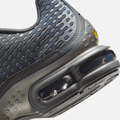 Air Max Plus IQ0282 084